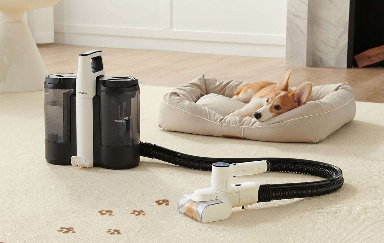 EAN 6972200199577 - Tineco Carpet One Spot máquina de limpieza de alfombras De mano Negro, Blanco imagen 4