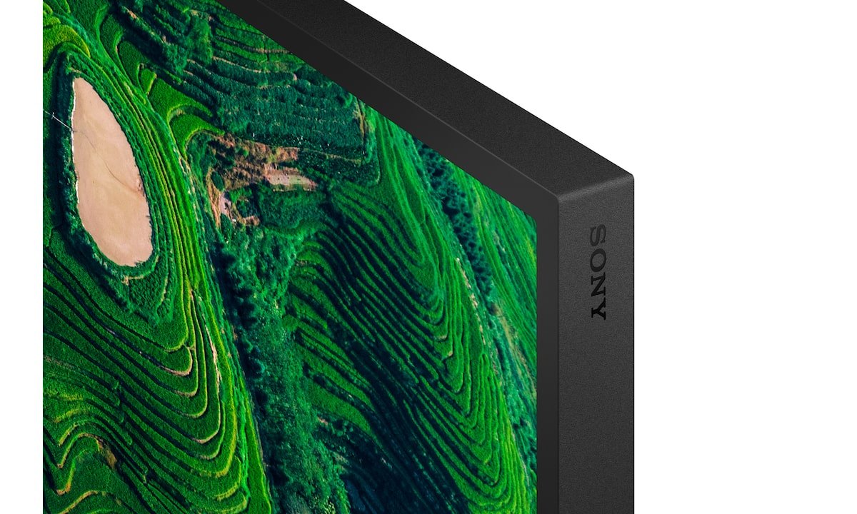 Sony 55" Pro Bravia 500nit Dbng Standard Display