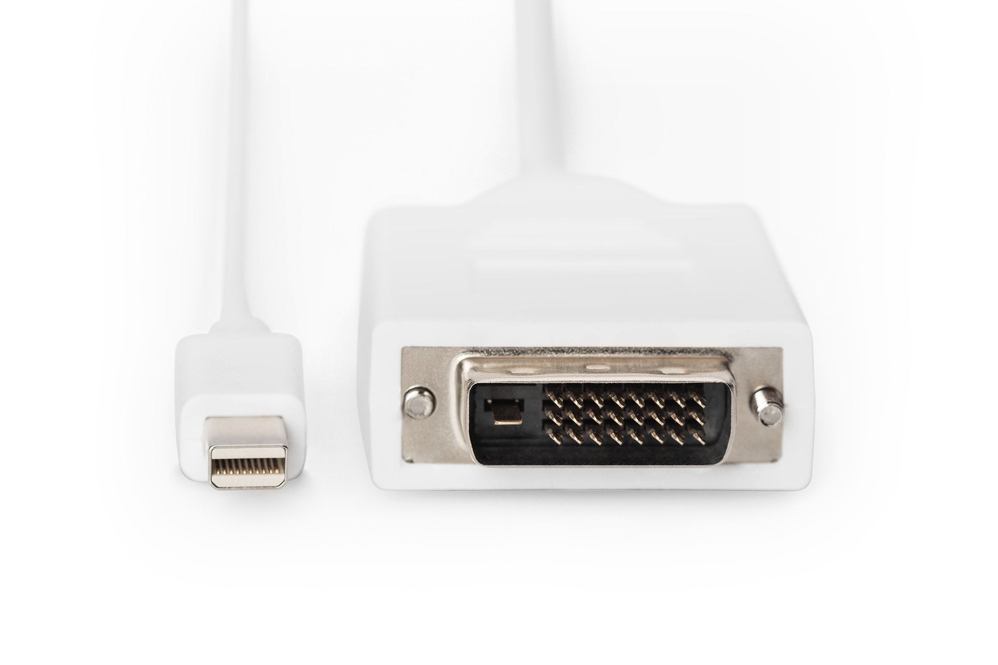 Digitus Assmann - Cable Adaptador - Mini Displayport (M)