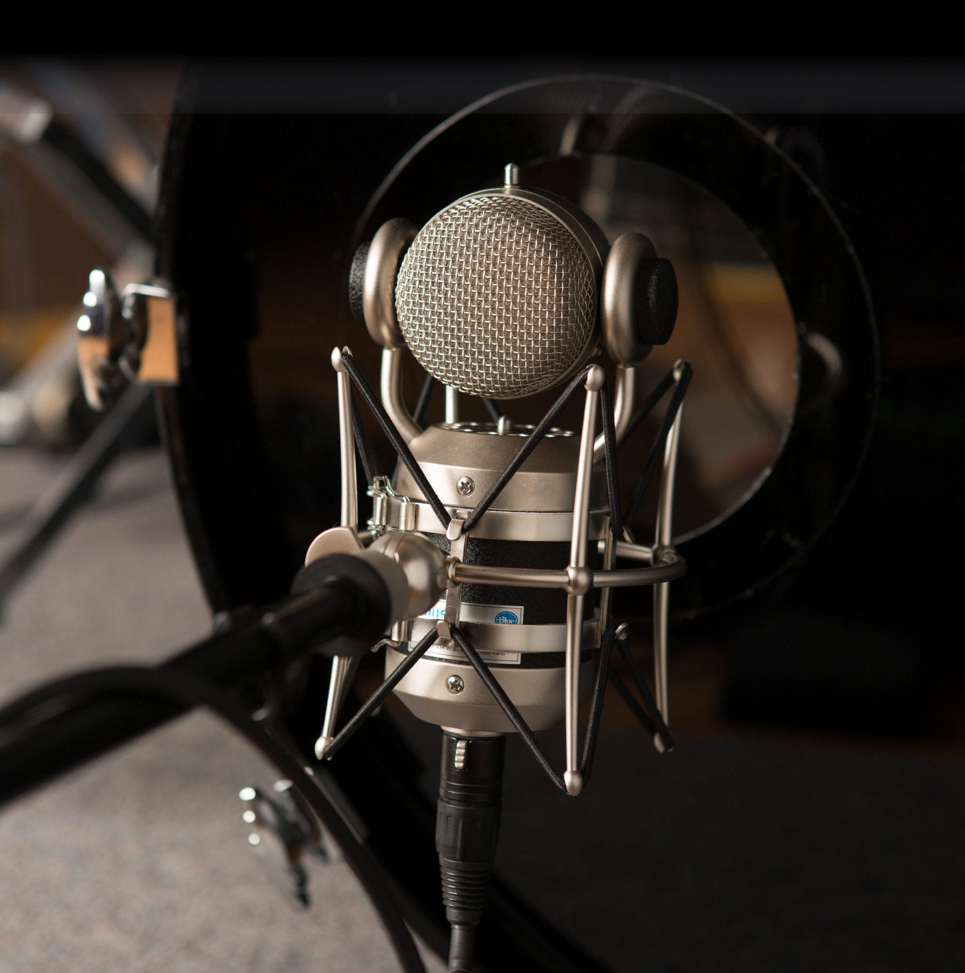 Micrófono Blue Microphones Mouse Negro De Estudio