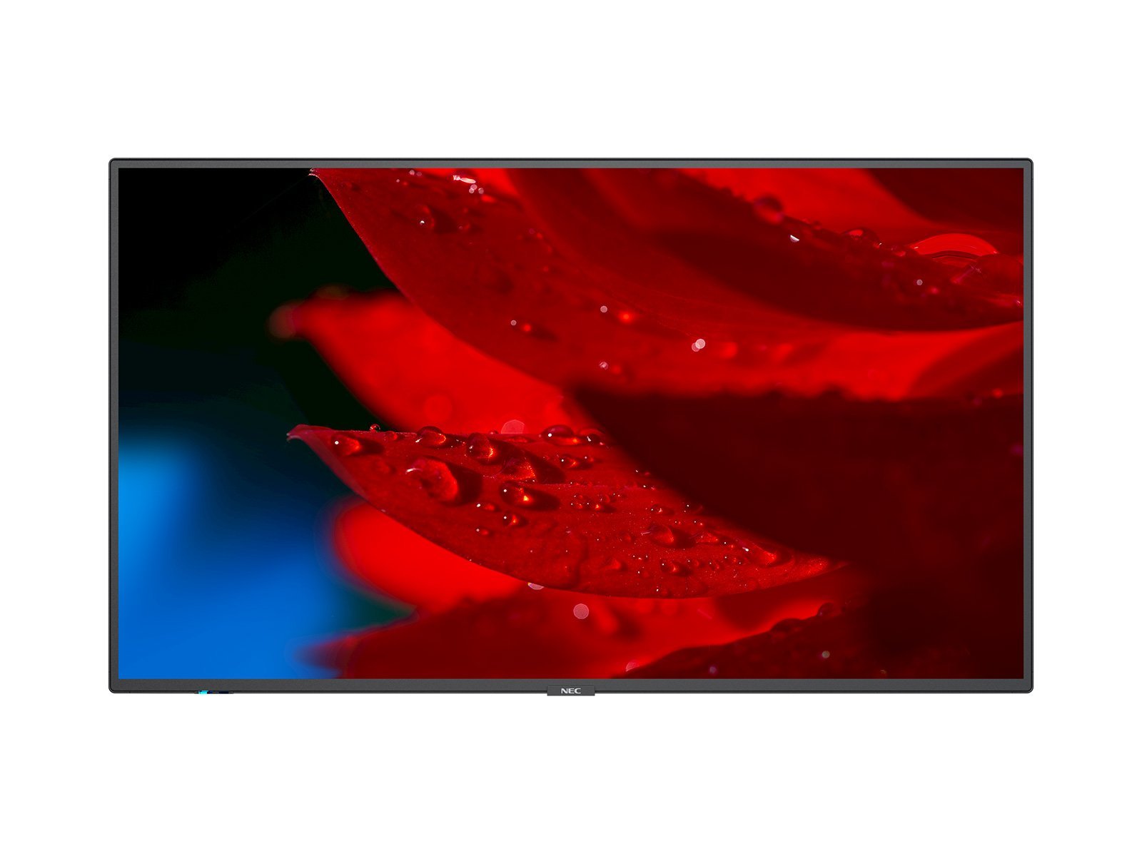 EAN 5028695119338 - NEC MultiSync MA431 Pantalla plana para señalización digital 109,2 cm (43") LCD 500 cd / m² 4K Ultra HD N imagen 1
