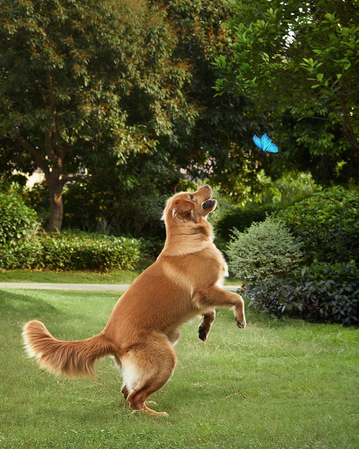 EAN 0194644052614 - Eufy Solocam S40 Caja Cámara de seguridad IP Interior y exterior 2048 x 1080 Pixeles Pared imagen 8