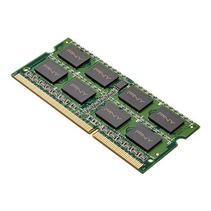 EAN 3536401463191 - PNY 8GB DDR3 1600MHz módulo de memoria 1 x 8 GB 204-pin SO-DIMM imagen 2