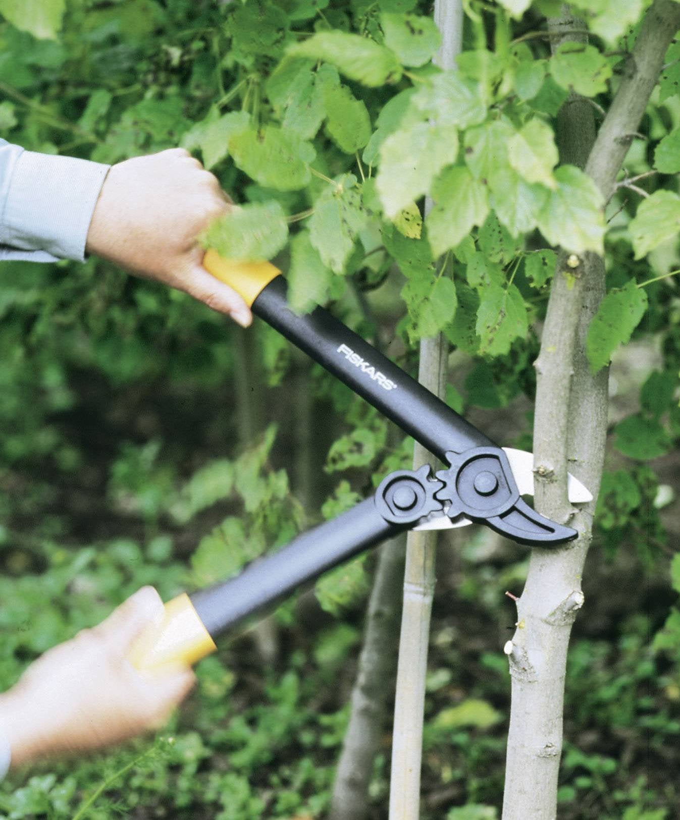 EAN 6411503961707 - Fiskars 1000581 no categorizado imagen 2