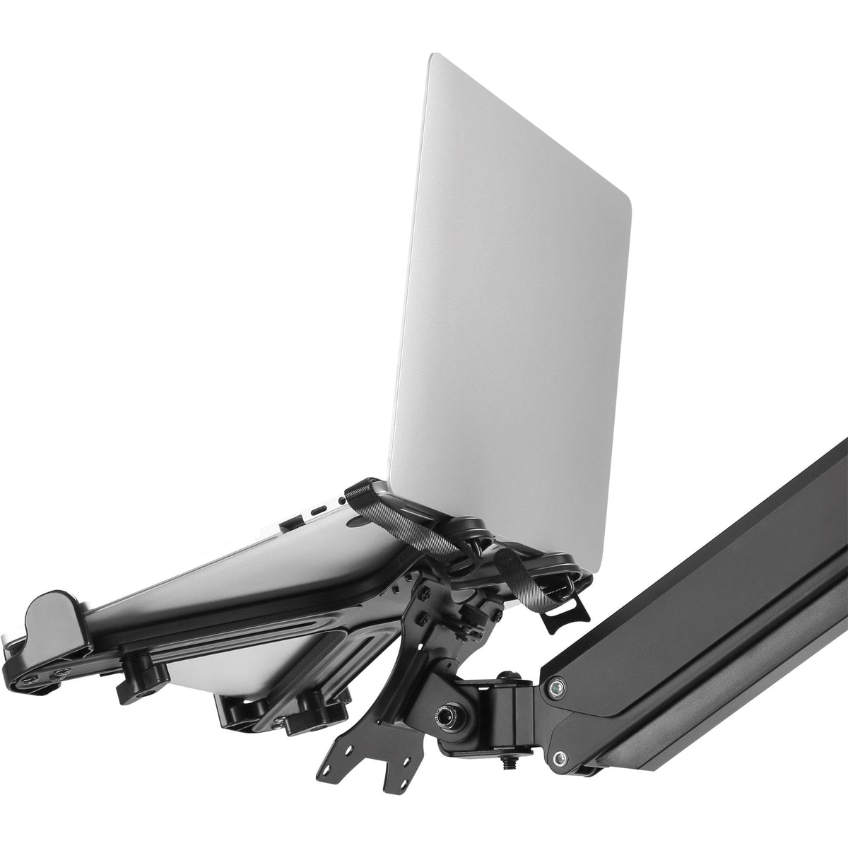 Soporte Para Portátil Inline De Hasta 17" Con Placa De Montaje Vesa 75/100