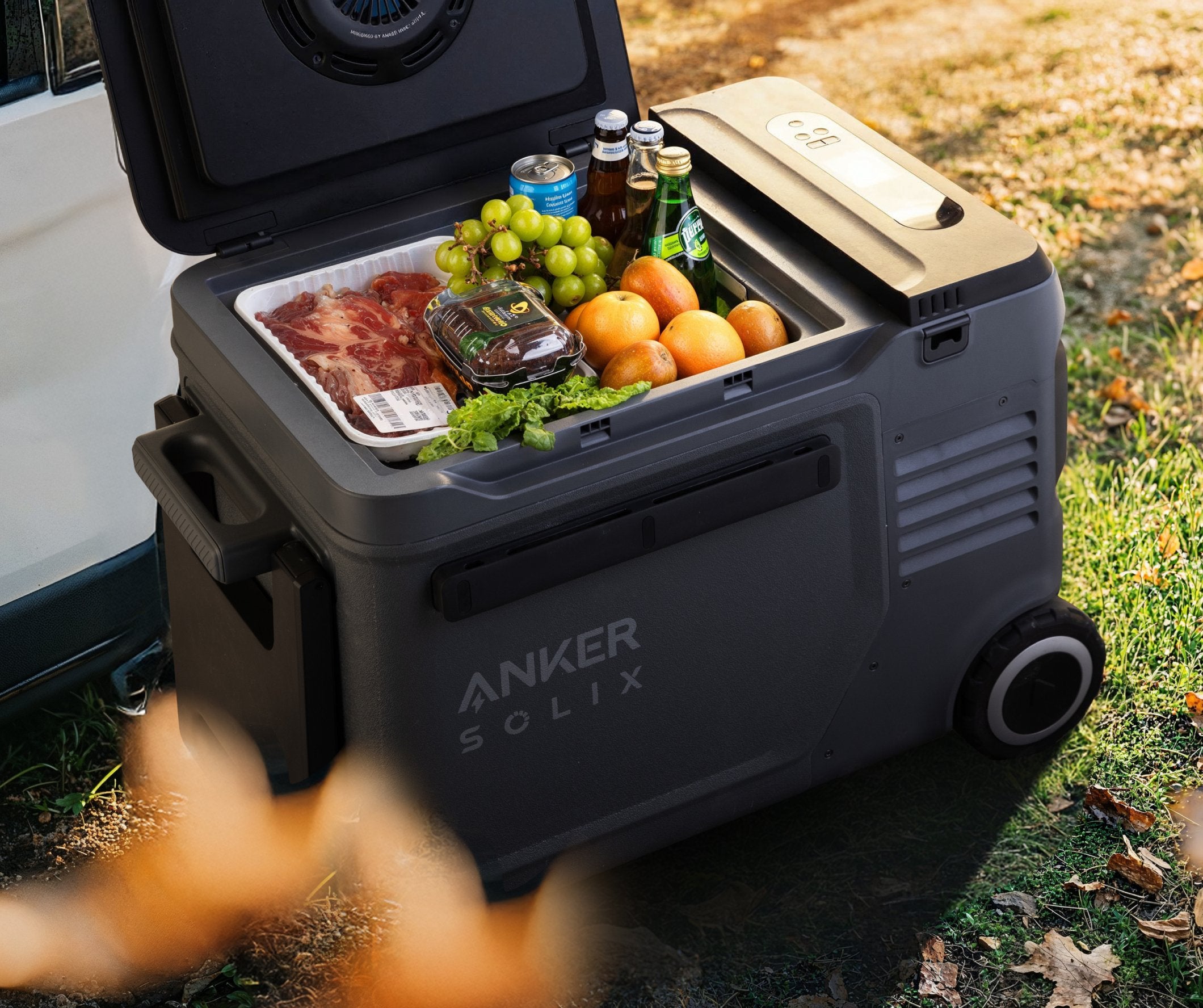EAN 194644228071 - Anker SOLIX EverFrost 2 nevera portátil 40 L Eléctrico Negro imagen 10