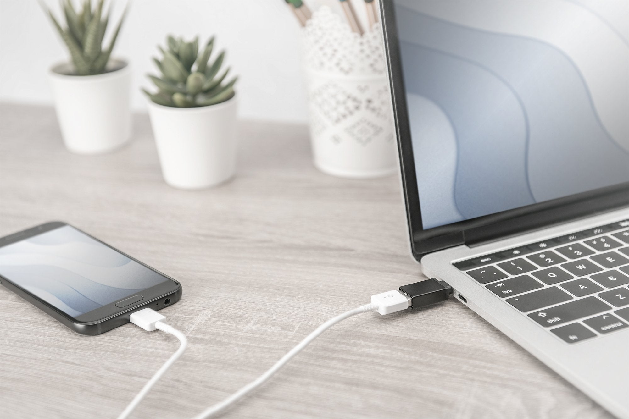 EAN 4016032370802 - Digitus AK-300506-000-S cambiador de género para cable USB C USB A Negro imagen 8