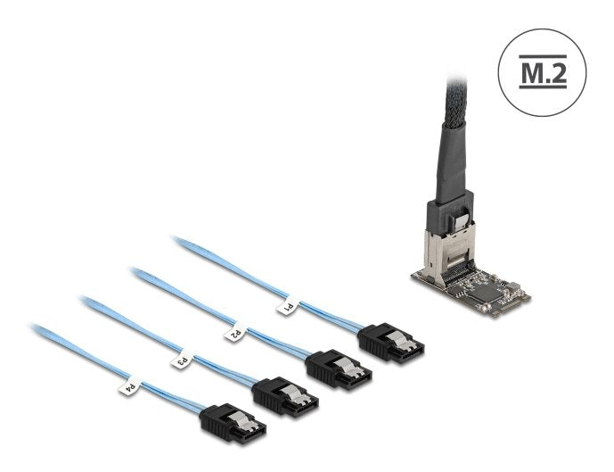Delock M.2 2242 Key B+M Kontroller Zu 4 X Sata Mit 1 M Cable