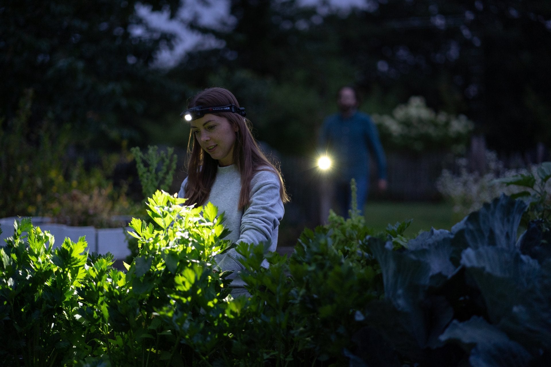 EAN 4058205020879 - Ledlenser H5R Core Negro Linterna con cinta para cabeza LED imagen 8