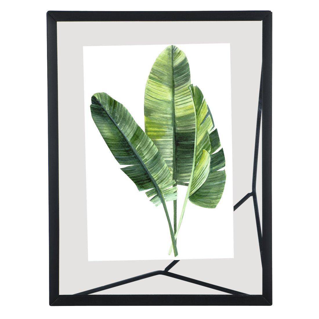 EAN 4007249699640 - Hama Baltimore Expositor de pie retroiluminado Negro imagen 1