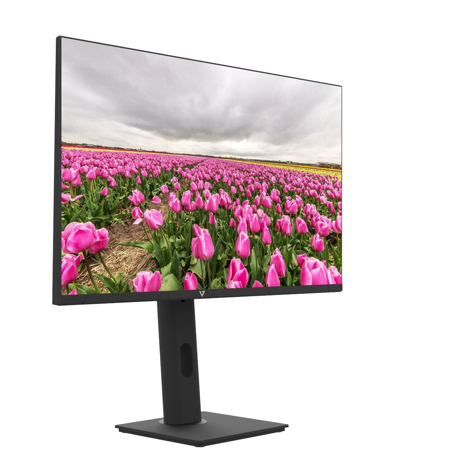 EAN 662919122015 - V7 L238V0-HAS-E pantalla para PC 60,5 cm (23.8") 1920 x 1080 Pixeles Negro imagen 4