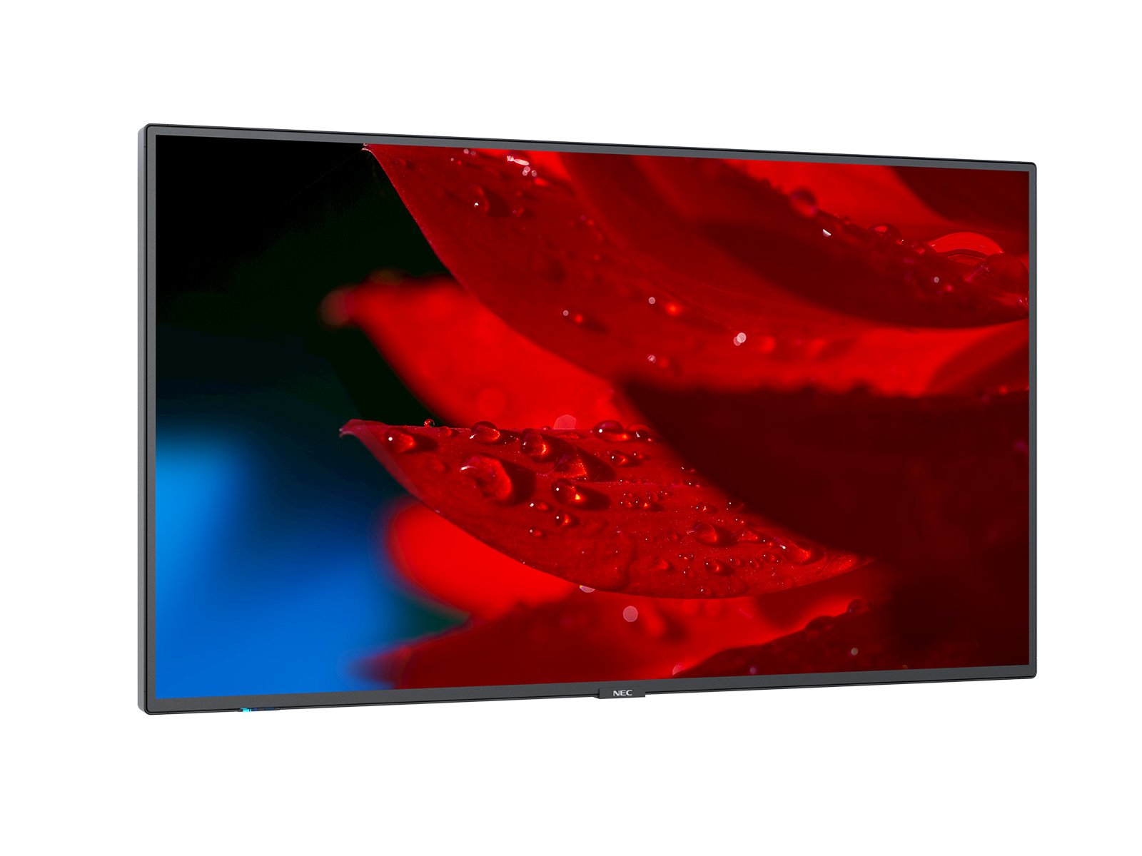 Nec Multisync Ma551 Pantalla Plana Para Señalización Digital 139,7 Cm (55") Ips 500 Cd / M² 4k Ultra Hd Negro 24/7