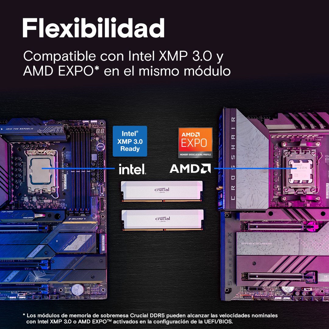 EAN 0649528945778 - Crucial Pro CP2K32G64C40U5W módulo de memoria 64 GB 2 x 32 GB DDR5 288-pin DIMM imagen 4