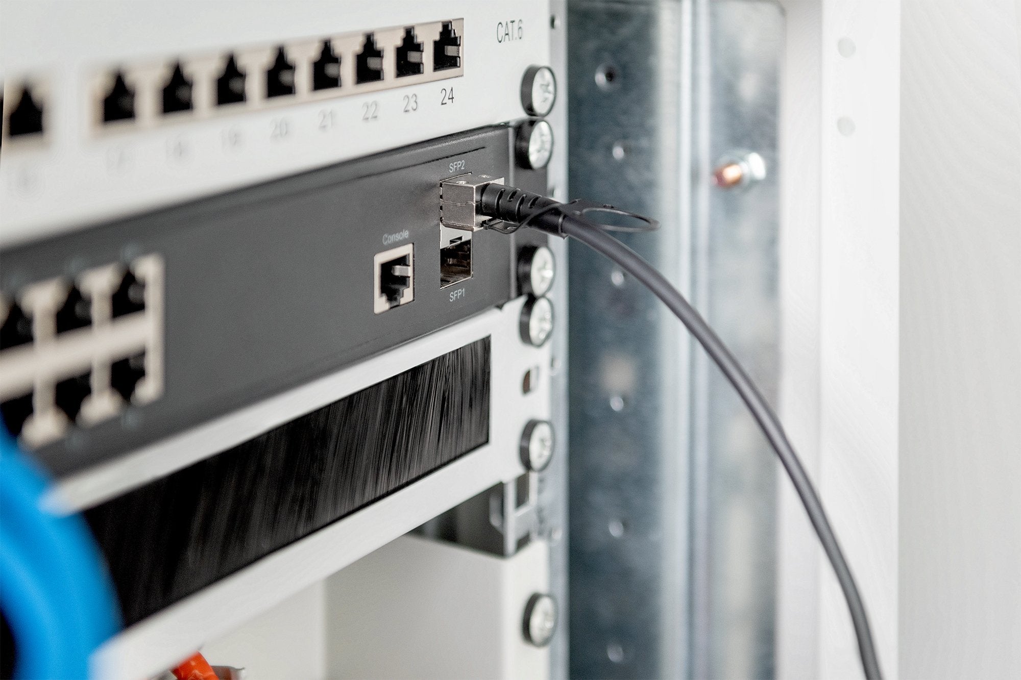 EAN 4016032445975 - Digitus DN-81224 Cable de fibra óptica e InfiniBand SFP+ Negro imagen 2