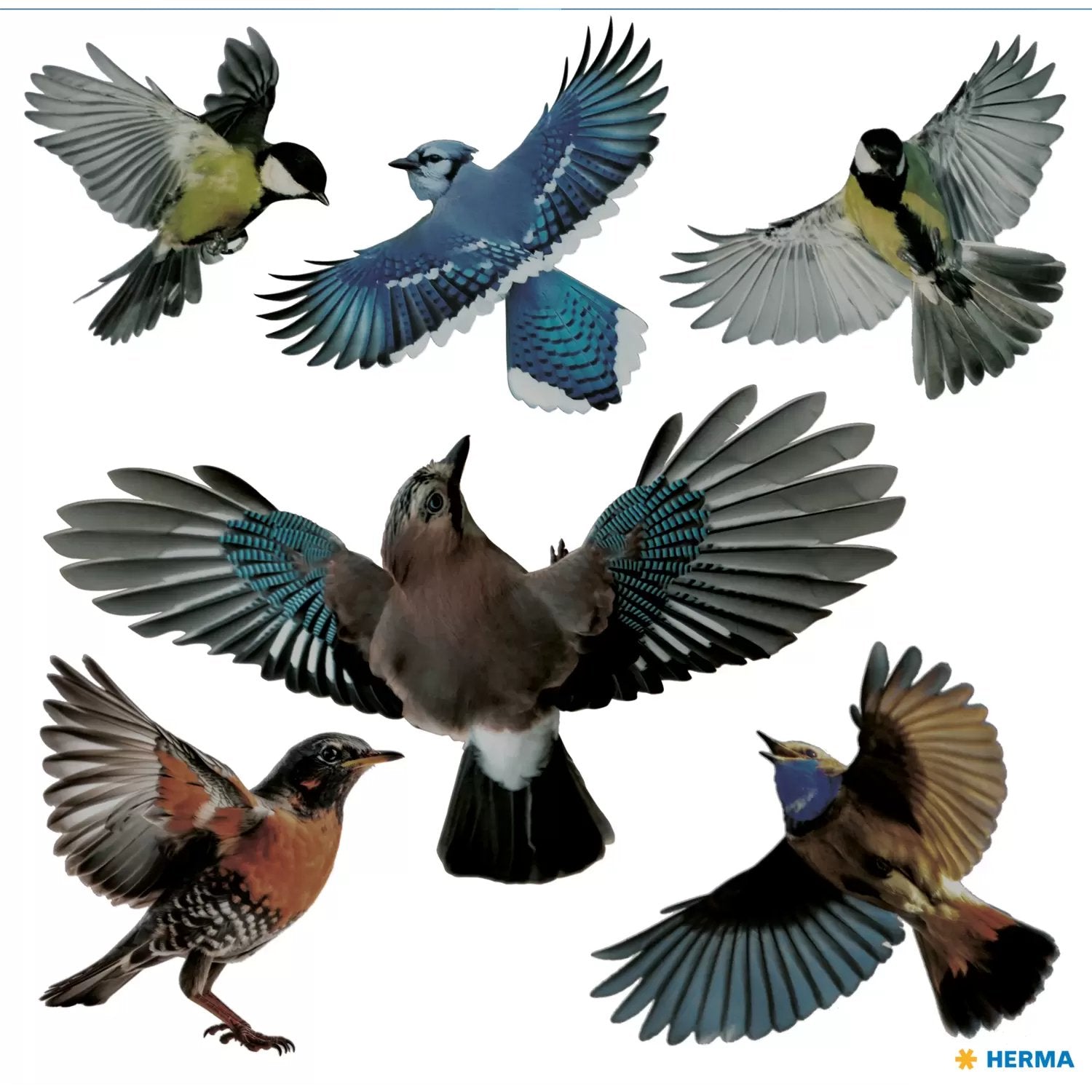 EAN 4008705155397 - HERMA 15539 etiqueta decorativa engomada Película Multicolor Desmontable imagen 2
