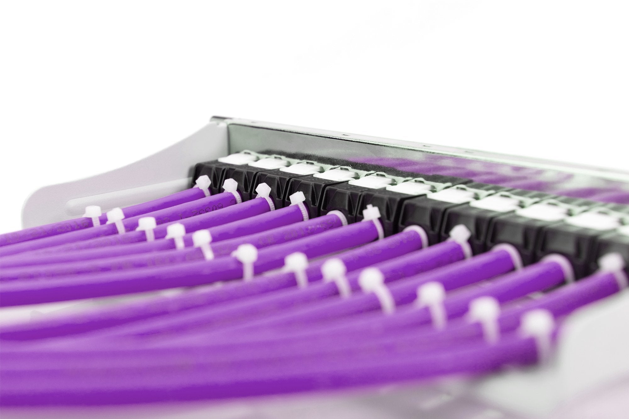 EAN 4016032441878 - Digitus DK-1614-VH-305 cable de red Violeta 305 m Cat6 U/UTP (UTP) imagen 3
