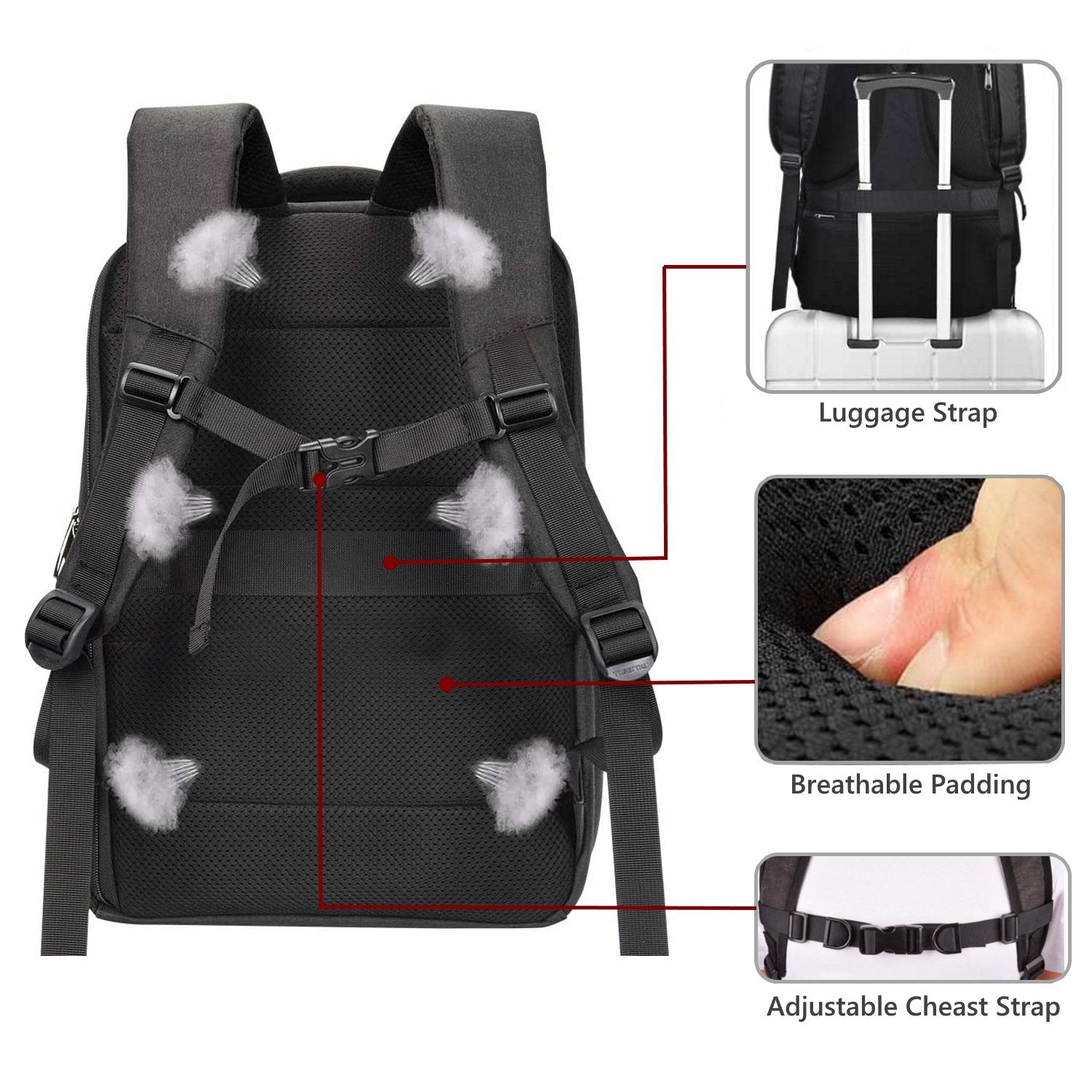 EAN 8054392618420 - Ewent EW2526 maletines para portátil 39,6 cm (15.6") Mochila Negro imagen 5