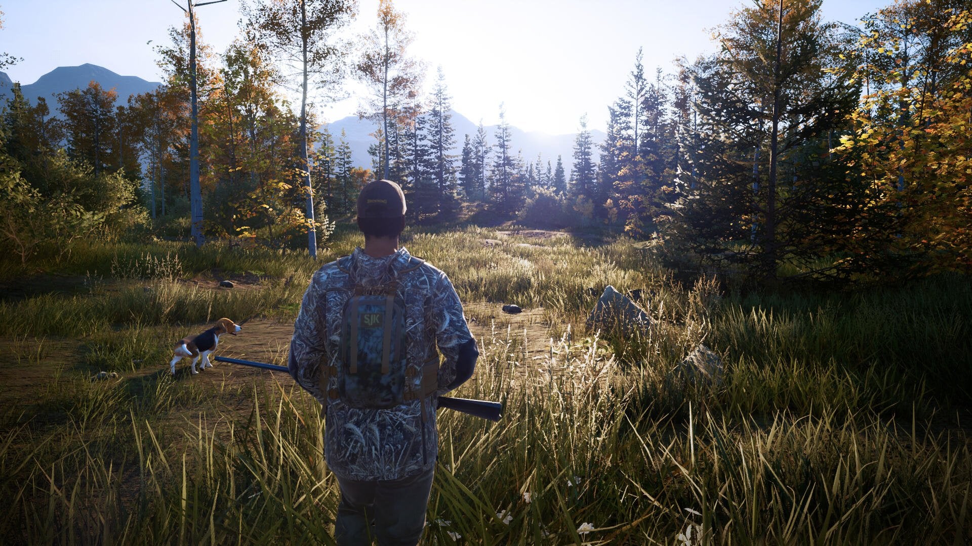 EAN 3665962001358 - Bigben Interactive Hunting Simulator 2 Estándar Nintendo Switch imagen 6