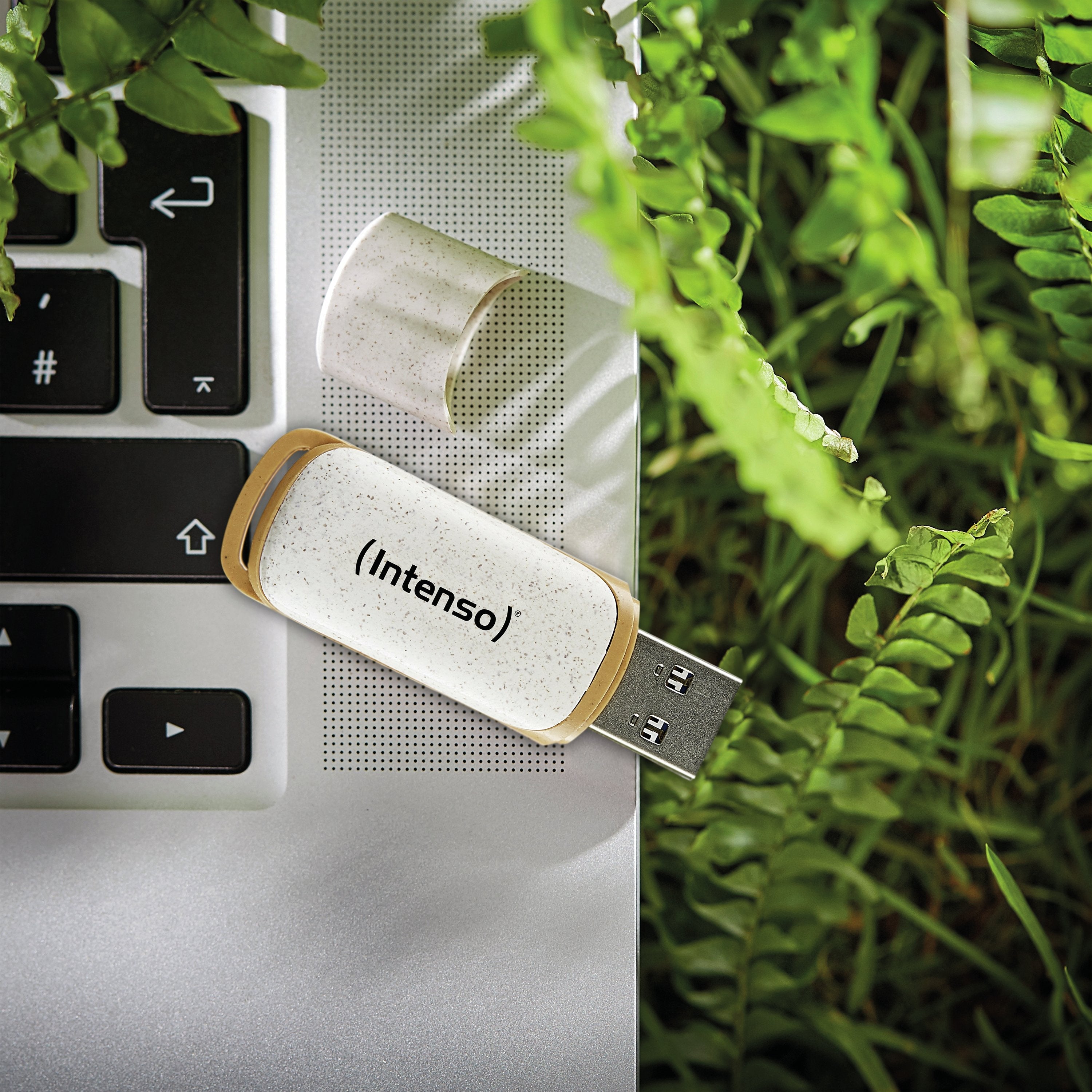 EAN 4034303032853 - Intenso Green Line unidad flash USB 128 GB USB tipo A 3.2 Gen 1 (3.1 Gen 1) Beige, Marrón imagen 5