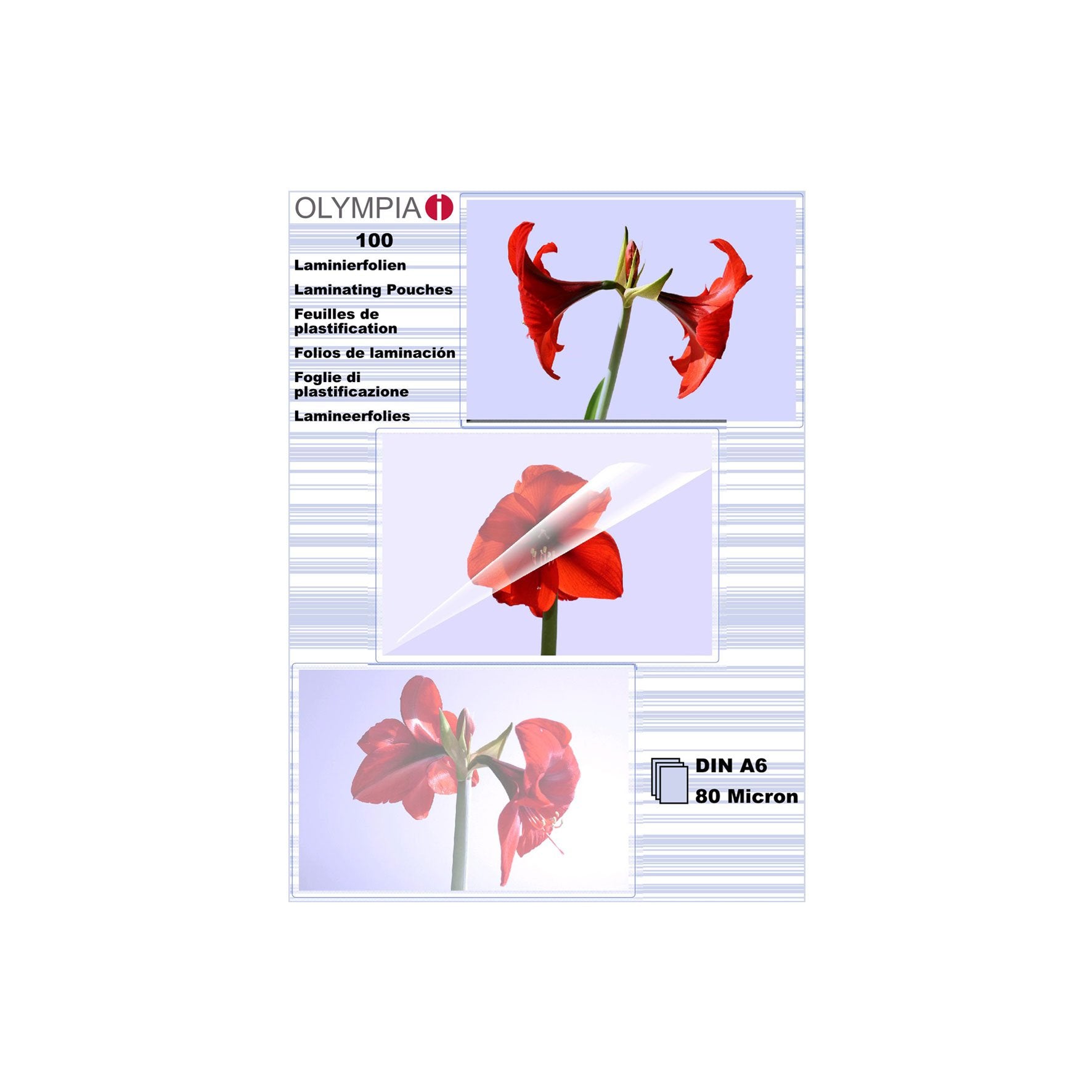 EAN 4030152091683 - Olympia 1x100 DIN A6 80 micron plastificador 100 pieza(s) imagen 1