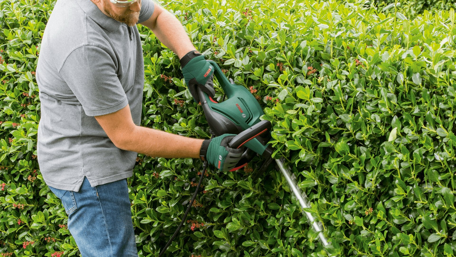 EAN 4059952614656 - Bosch UniversalHedgeCut 50 Cuchilla sencilla 480 W 3,5 kg imagen 6