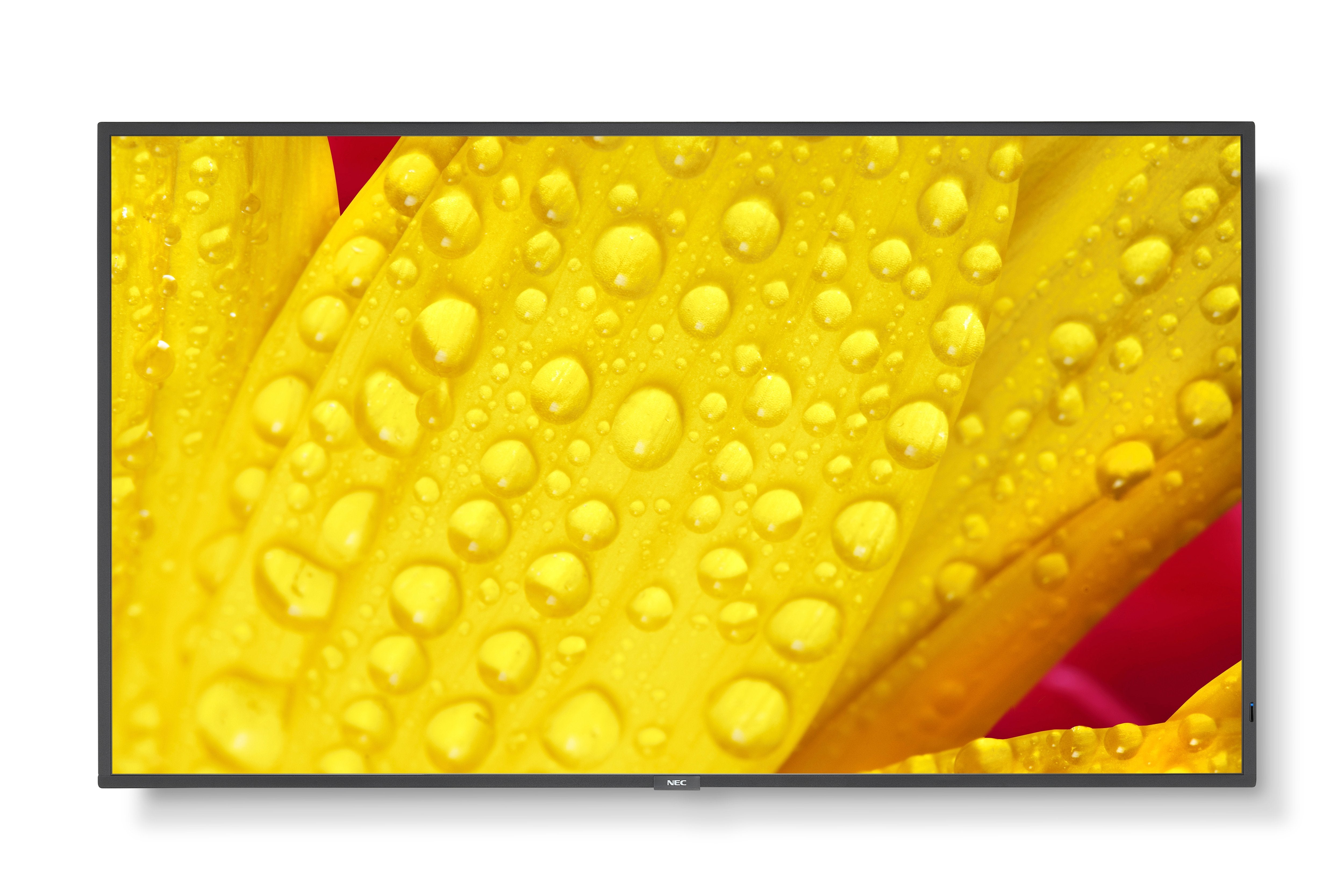 EAN 5028695127487 - NEC MultiSync M551-2 Diseño de quiosco 127 cm (50") LED 4K Ultra HD Negro Procesador incorporado imagen 1