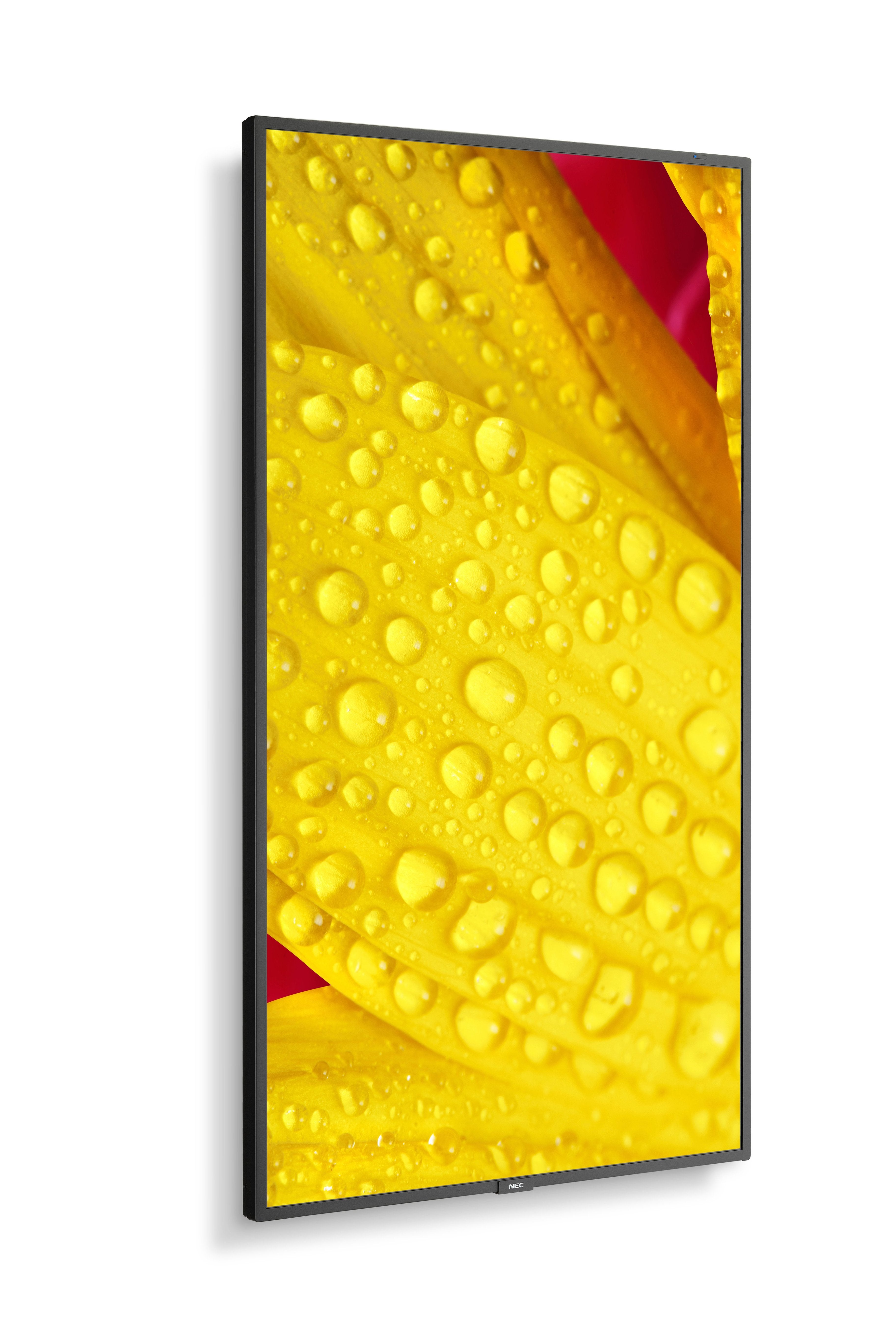 M501-2, 50" M-Series, Lfd, Uhd 3840x2160, 500cd/M2,