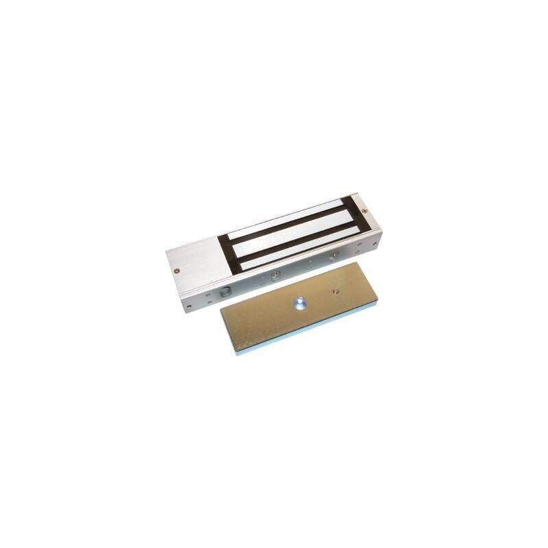300kg Electromagnet 12/24 Vdc Led Relay Timer