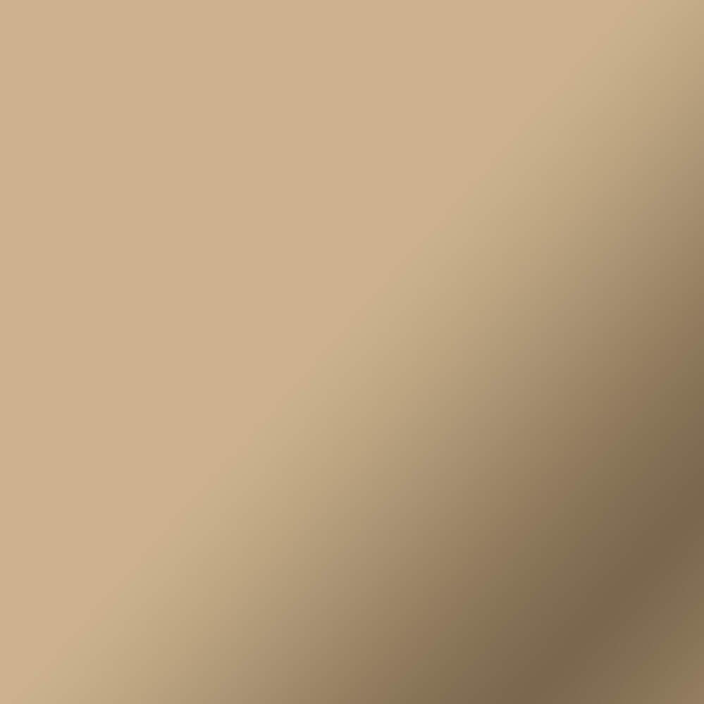 Cricut 2011610 Vinilo Adhesivo Permanente Champán Mate