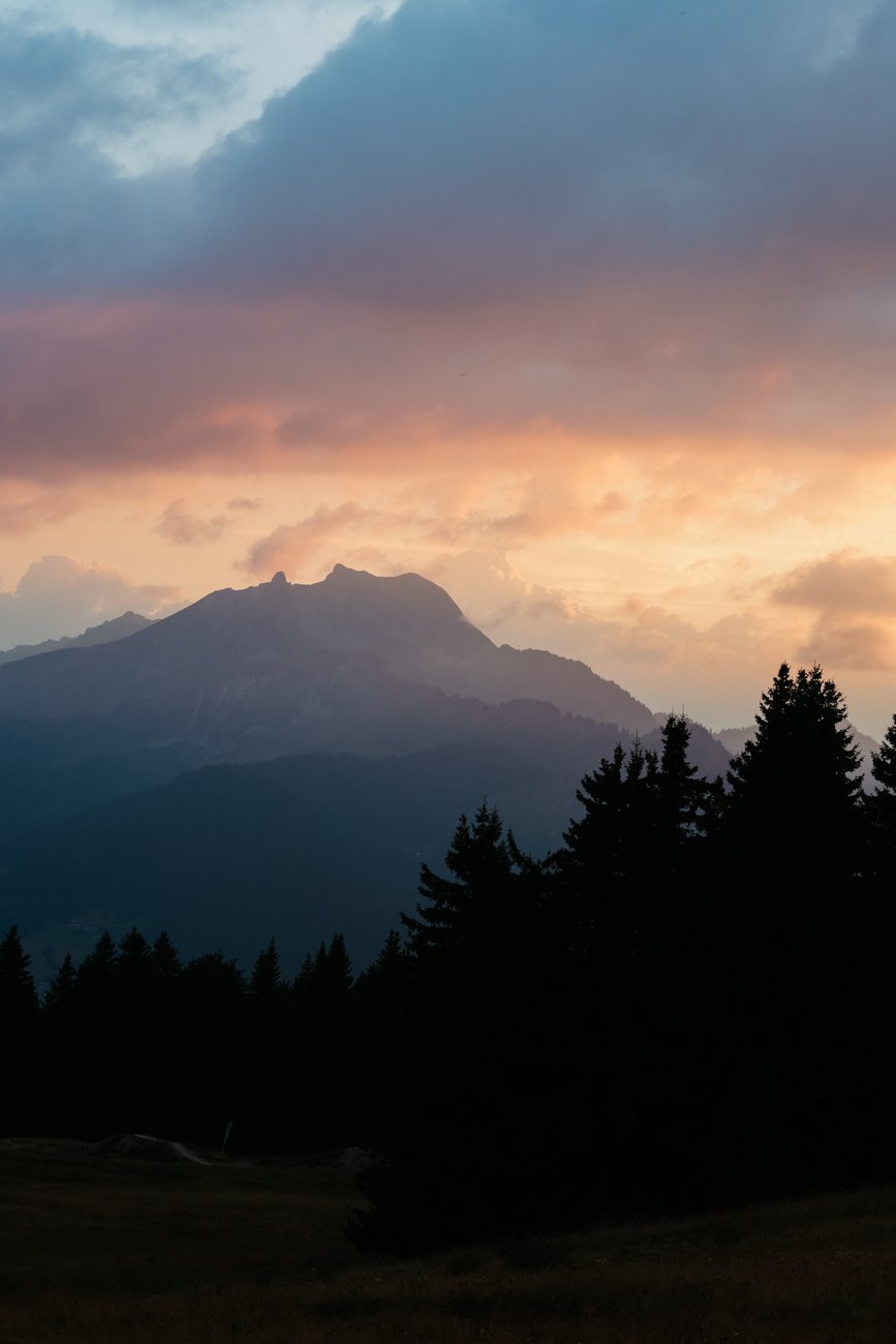 EAN 4549292200515 - Canon EOS R6 Mark II Cuerpo MILC 24,2 MP CMOS 6000 x 4000 Pixeles Negro imagen 9