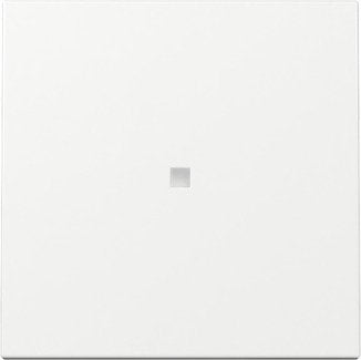 Gira 329003 Placa De Pared Y Cubierta De Interruptor Blanco
