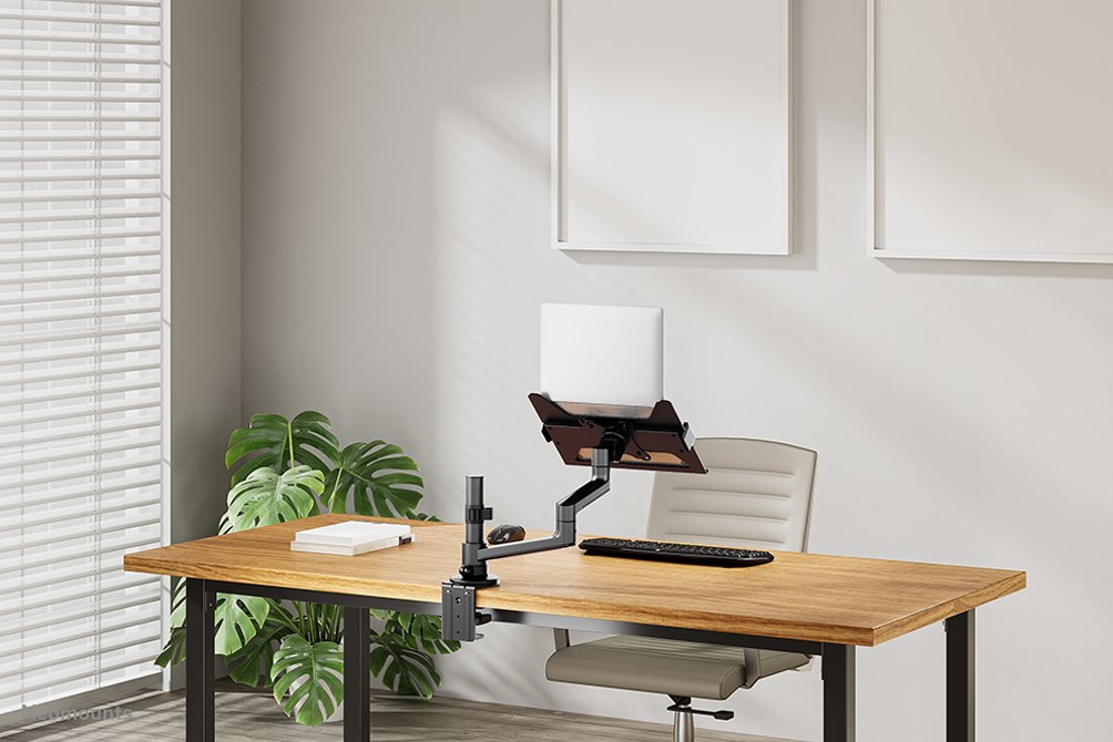Neomounts By Newstar Soporte De Escritorio Para Portátil 11,6"-17,3"