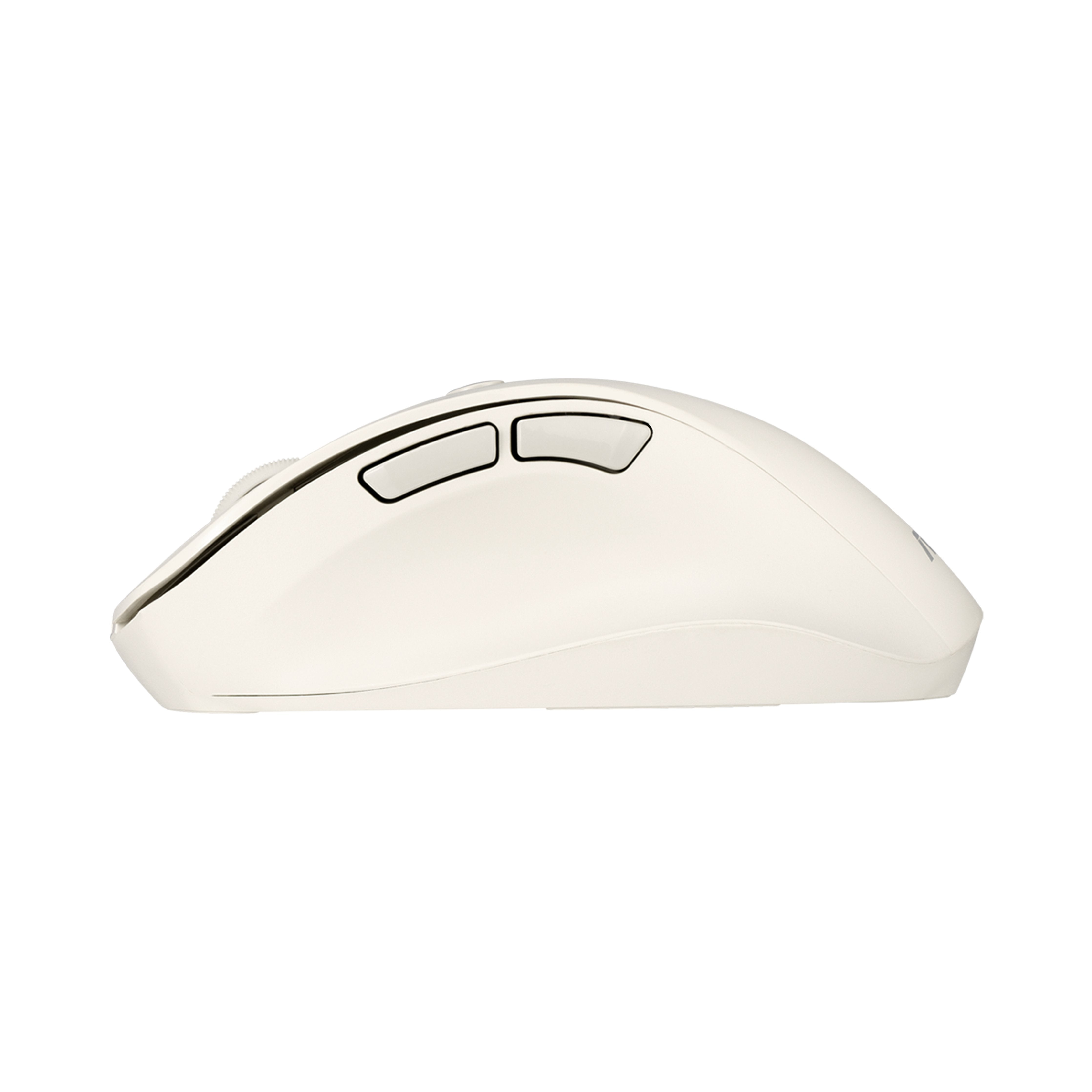 Raton Asus Md105 Wireless Milky Blanco