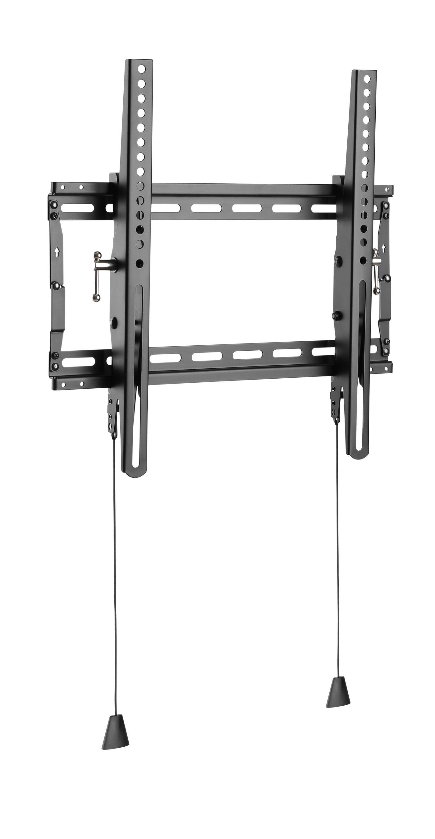 Basic Medium Wall Mount With Tilt