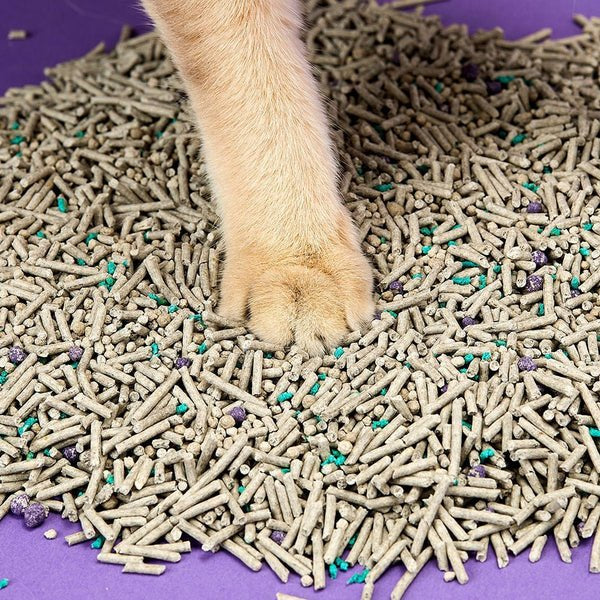 Petkit 5 In 1 Mixed Cat Litter 1 Bag (P92cl1)