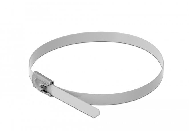 Delock Bridas De Acero Inoxidable L 200 X B 4,6 Mm Blanco 10 Piezas