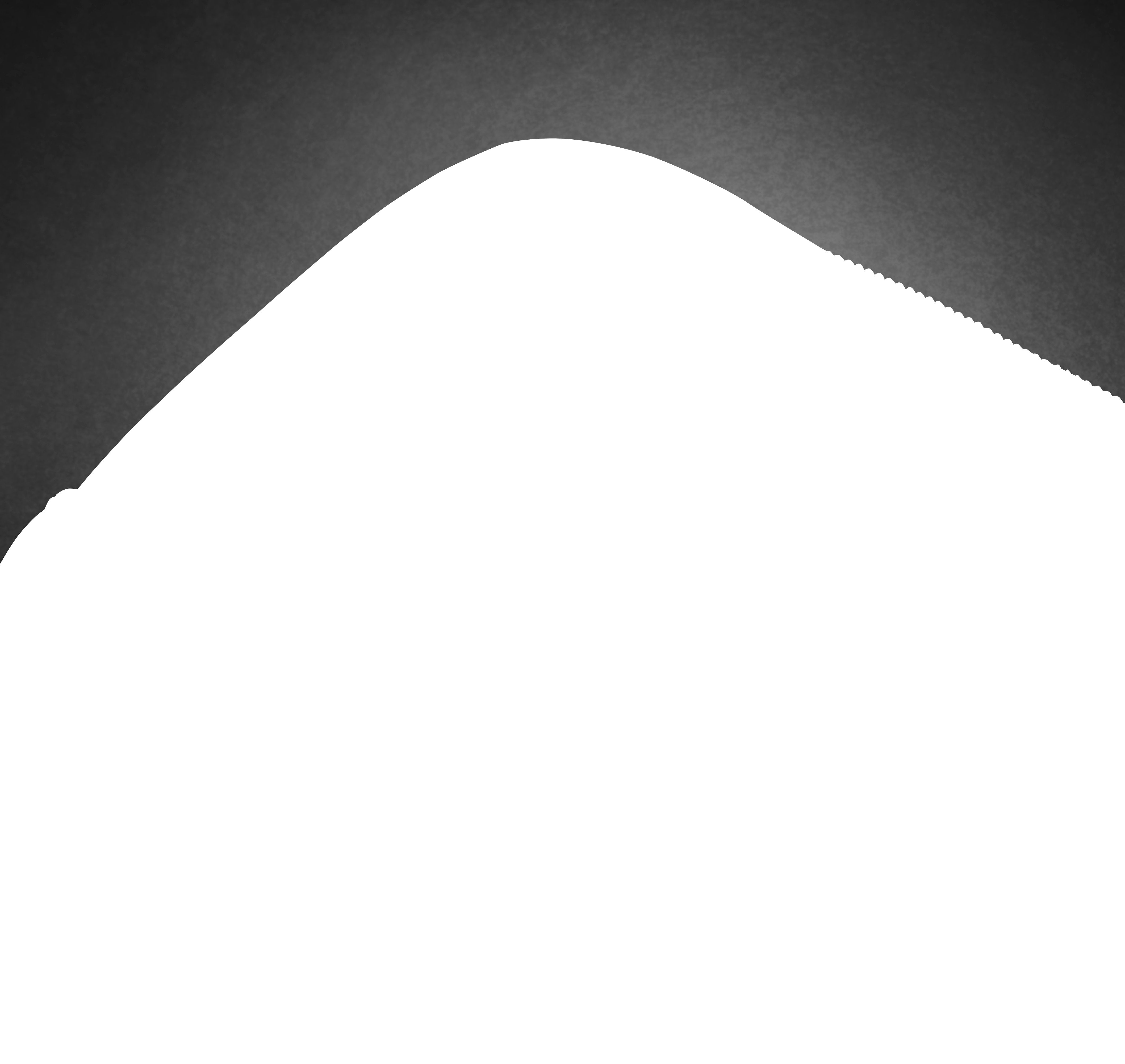 EAN 0196188587959 - HP Professional 15.6 Laptop Bag 39,6 cm (15.6") Maletín Negro imagen 9