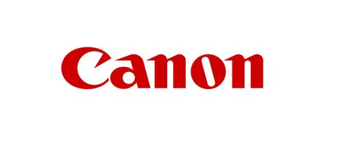 Canon Staples D3 (0250a013)