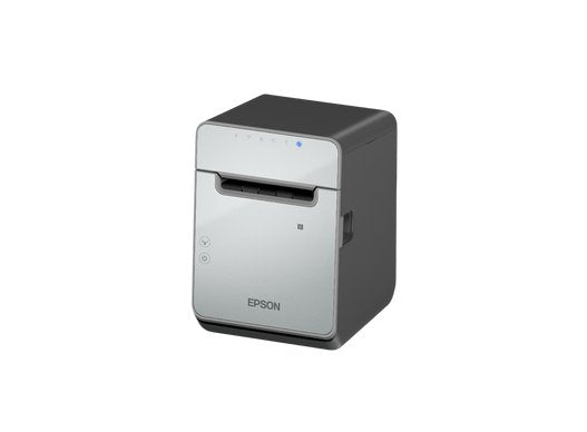 Epson Tm-L100 (121a0): Usb