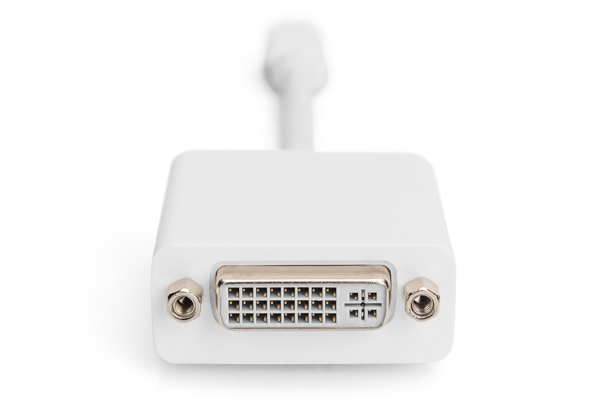 EAN 4016032289579 - Digitus AK-340406-001-W adaptador de cable de vídeo 0,15 m Mini DisplayPort DVI-D Blanco imagen 4