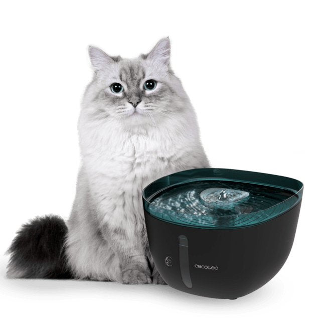 EAN 8435484095617 - Cecotec Pumba 2200 Refresh comedero y bebedero para perro y gato Plástico Negro, Azul Universal Bebedero imagen 4