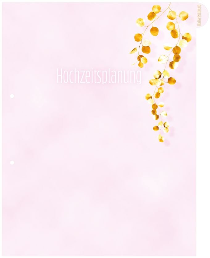 EAN 4008705154215 - HERMA 15421 carpeta de cartón A4 Rosa imagen 6