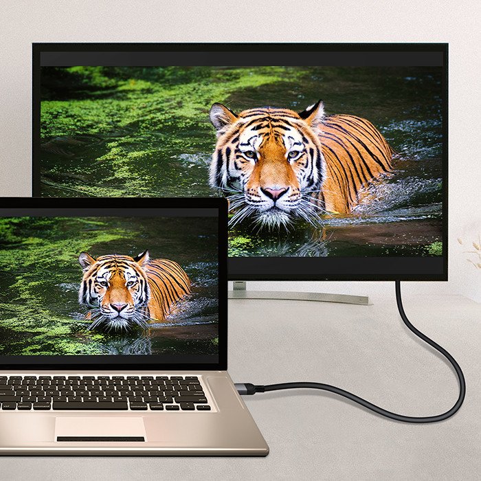 EAN 5901878504384 - Qoltec 50438 adaptador de cable de vídeo 2 m USB Tipo C HDMI Negro imagen 5