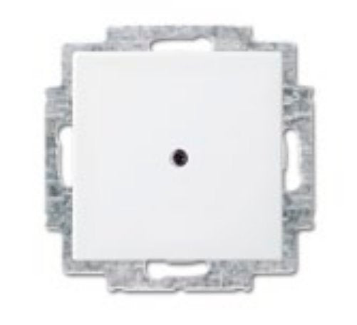 EAN 4011395190579 - Busch-Jaeger 1715-0-0319 placa de pared y cubierta de interruptor Blanco imagen 1