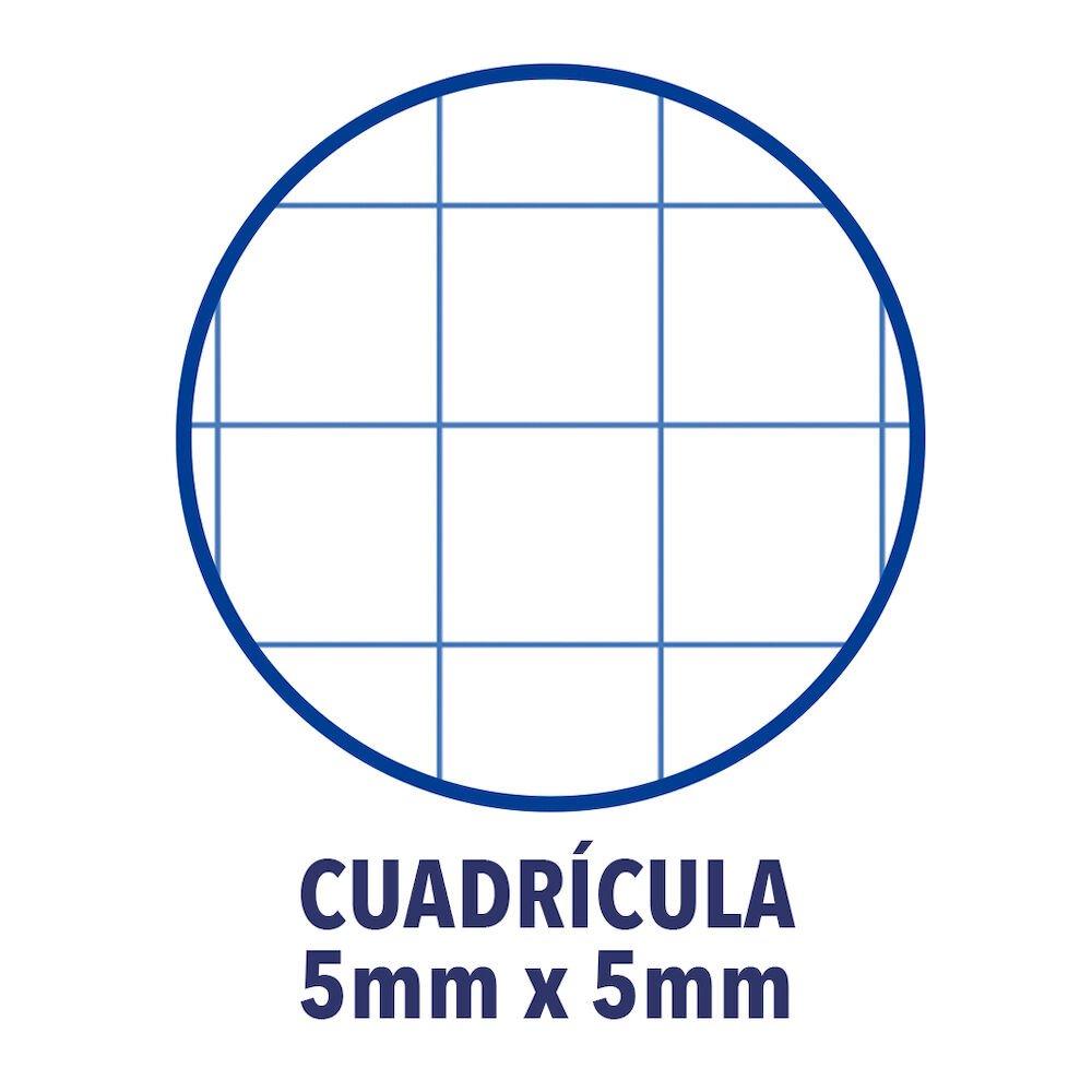 EAN 8412771037178 - Oxford Recambio 5 imagen 4