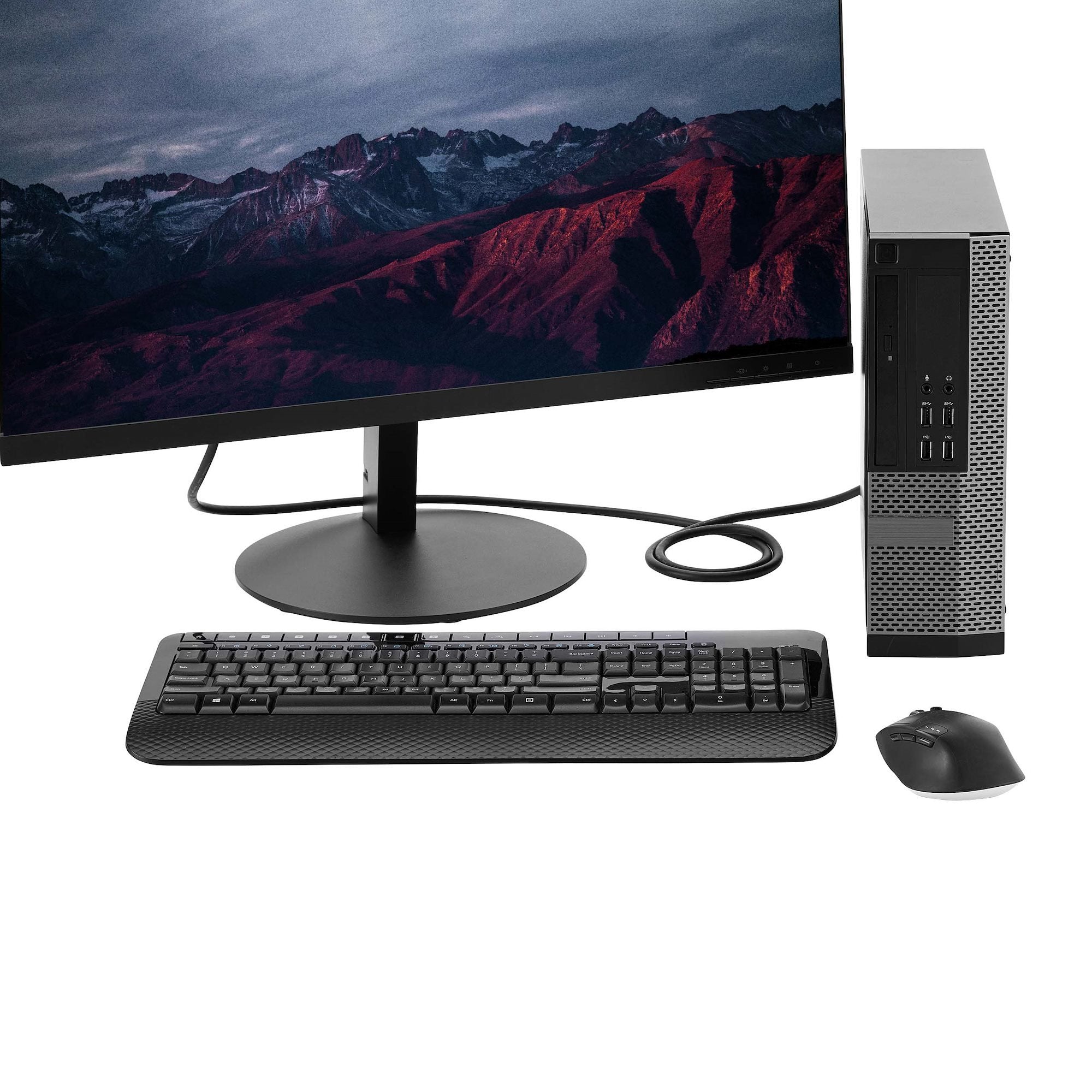 EAN 0065030827812 - StarTech.com DISPLPORT6L cable DisplayPort Negro imagen 7