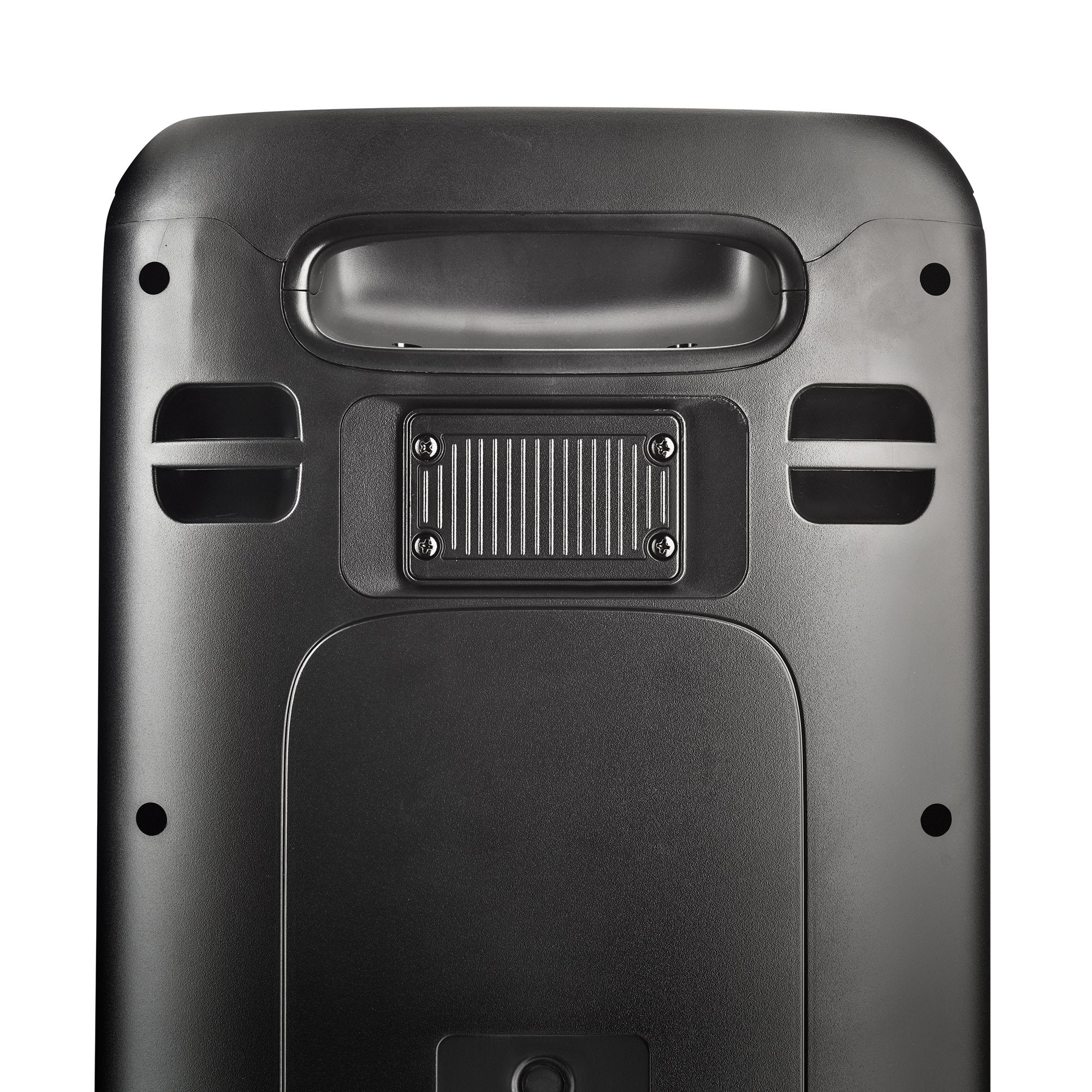 Ngs Altavoz Portátil Wildrip 400w Compatible C