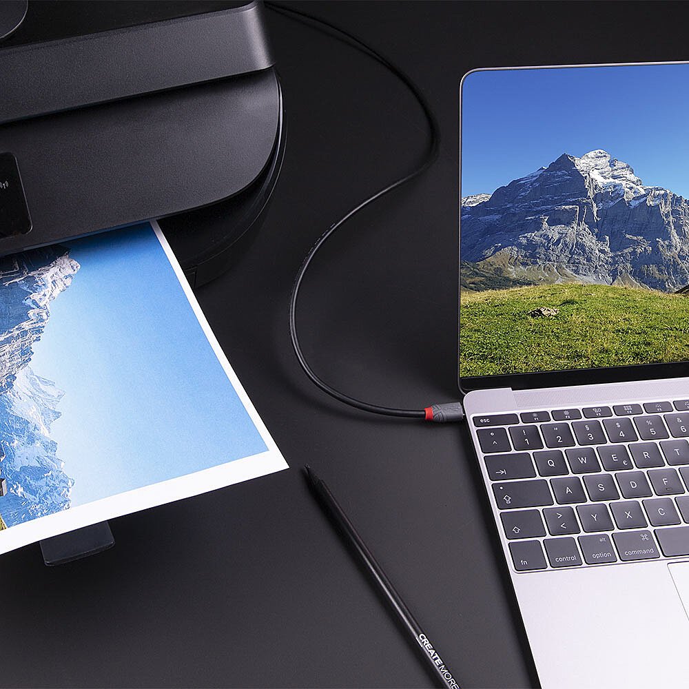 Cable Lindy 1m Usb 3.2 Typ C An B Anthra Line