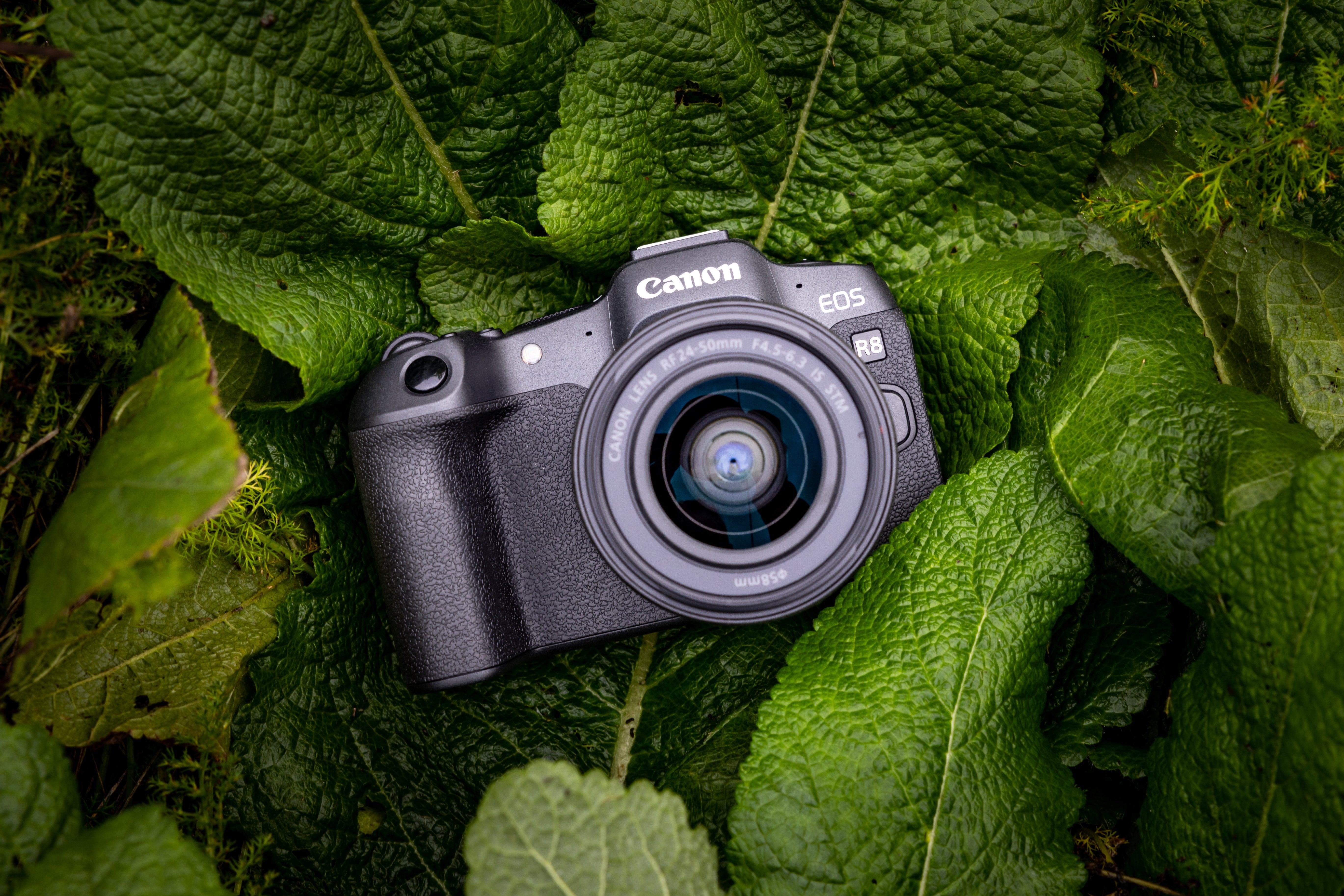 EAN 4549292204841 - Canon EOS R8 MILC 24,2 MP CMOS 6000 x 4000 Pixeles Negro imagen 10