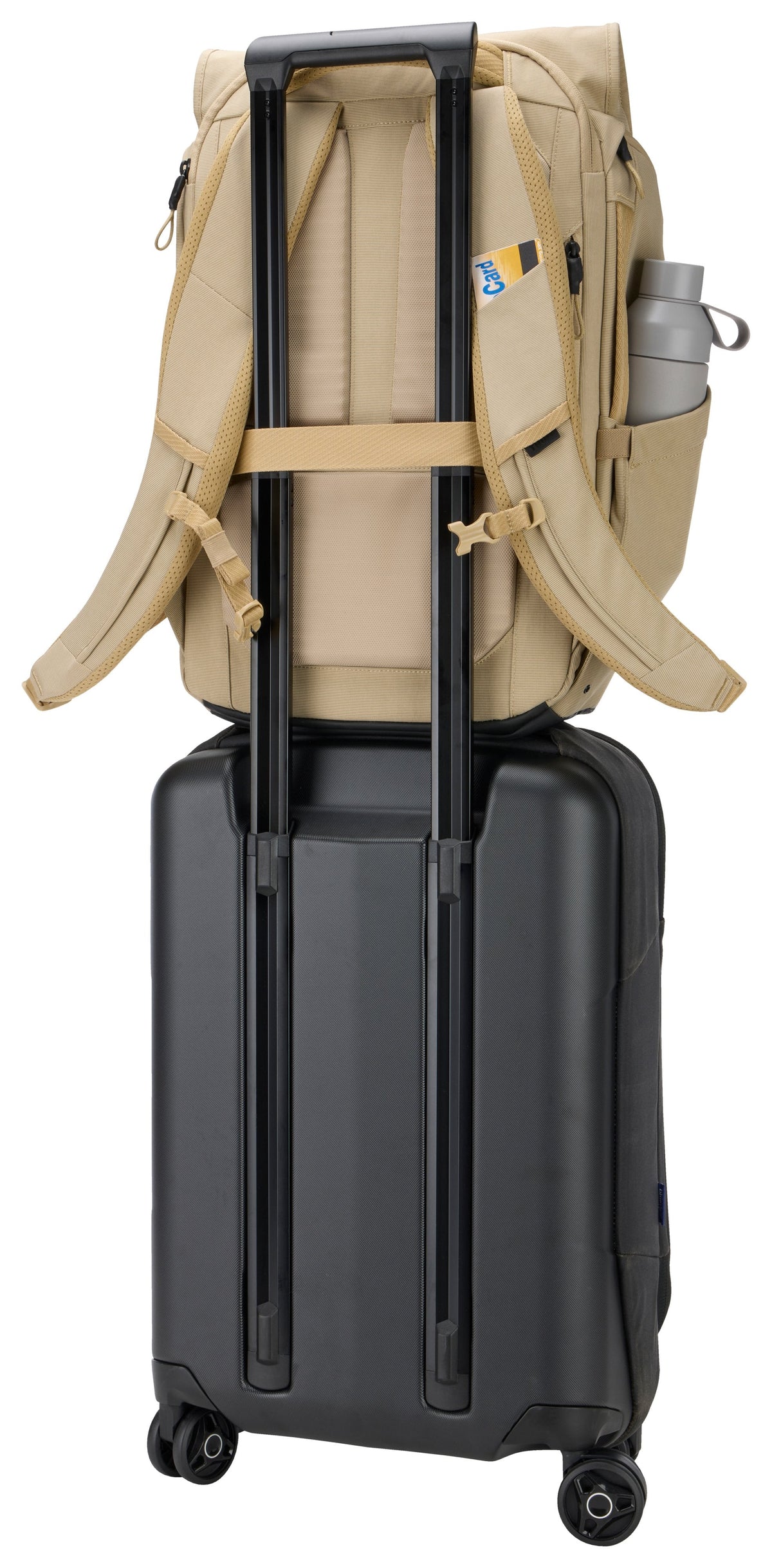 Thule Paramount Backpack 27l - Parabp3216 Gentle Beige